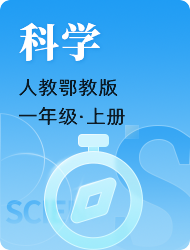 小学一年级上科学(人教鄂教版)